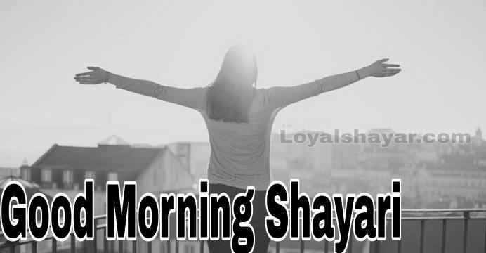 Good Morning Shayari in hindi for love