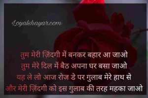 Rose Day Shayari in hindi