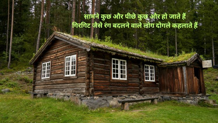 dogle log status in hindi