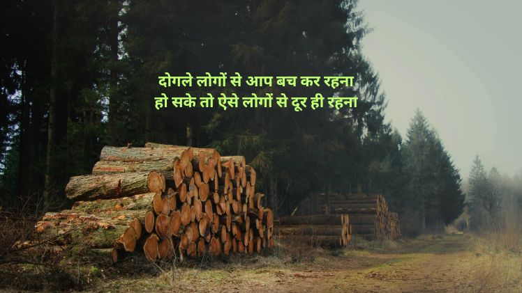 दोगलेपन पर शायरी