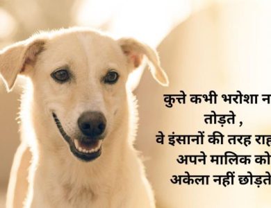 kutta kamina shayari