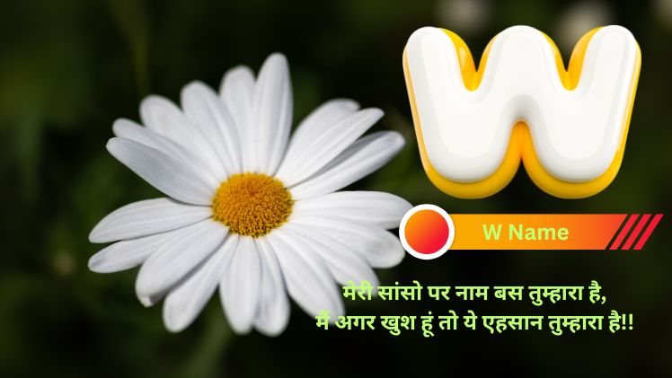 w name shayari photo