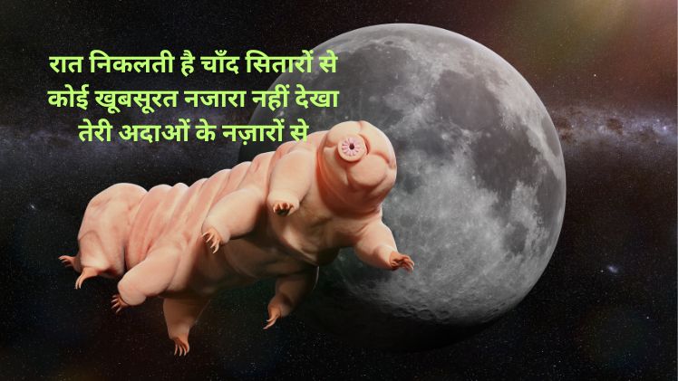 chand shayari gulzar photo