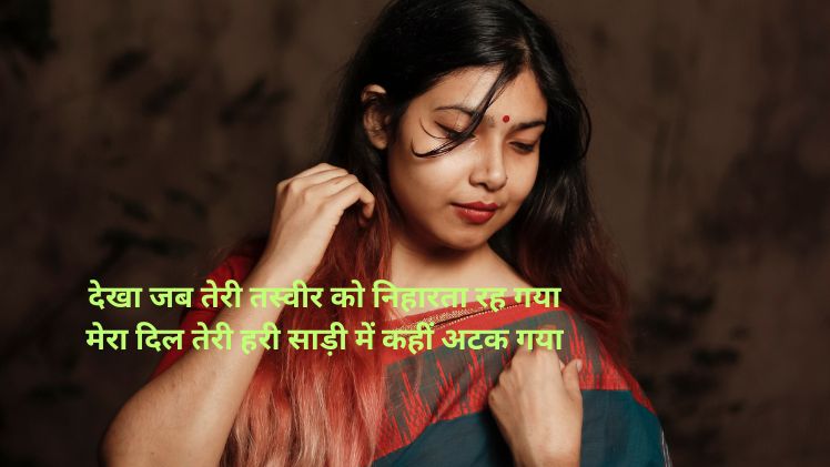 lal saree shayari image