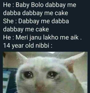 nibba nibbi memes photo