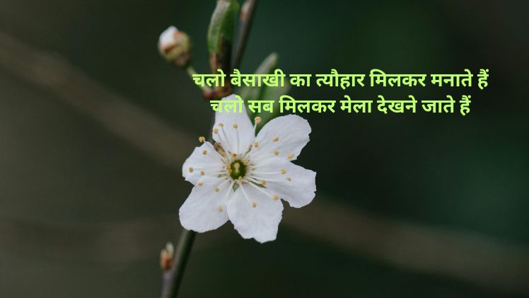 बैसाखी पर शायरी _ Baisakhi Shayari _ Vaishakhi Status