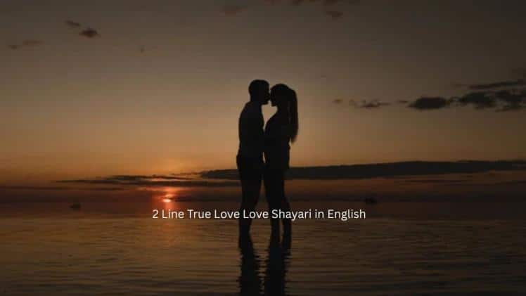 love 2 line shayari image