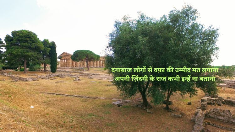 दोस्ती में दगाबाज शायरी dagabaj shayari