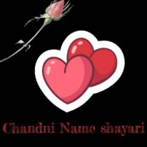 chandni name shayari image