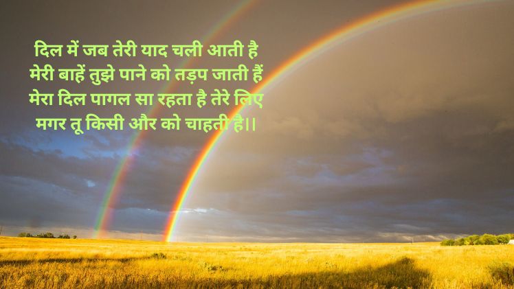 double meaning funny shayari