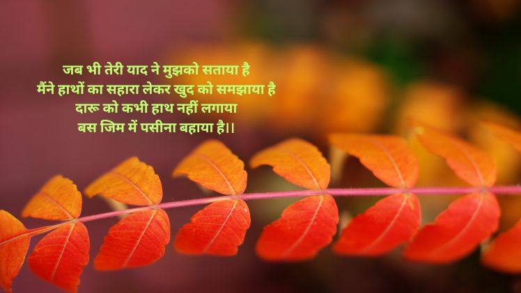 double meaning shayari pics