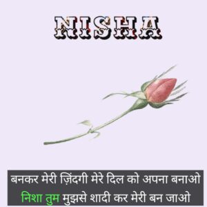 nisha name shayari status