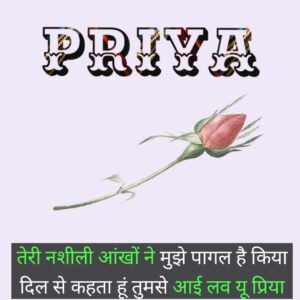 priya name shayari status
