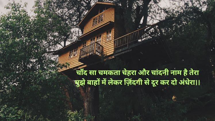 चांदनी नाम की शायरी