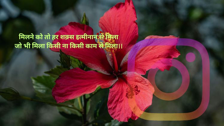 Instagram Attitude Shayari1