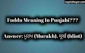 Fuddu Meaning In Punjabi