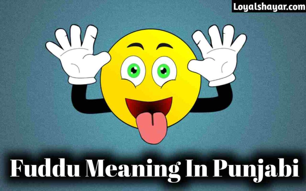 Fuddu Meaning In Punjabi _फुद्दू मीनिंग इन पंजाबी
