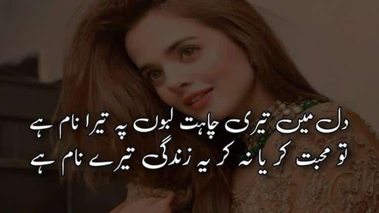 pakistani shayari 2 lines