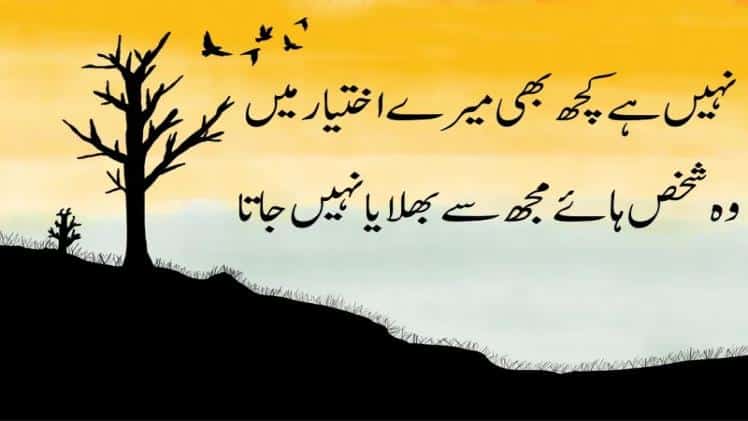 pakistani shayari photos