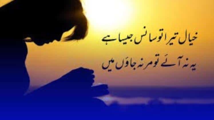 pakistani shayari status