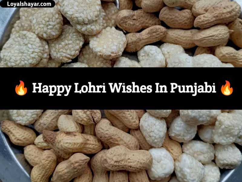 Happy Lohri Wishes In Punjabi ਲੋਹੜੀ ਮੁਬਾਰਕ 2023