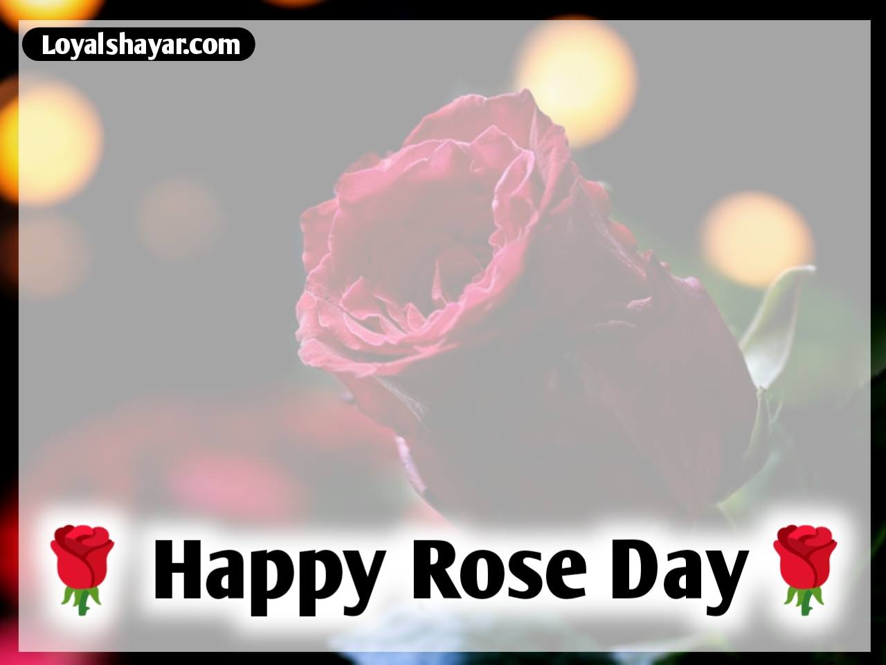 Happy Rose Day Status In Punjabi