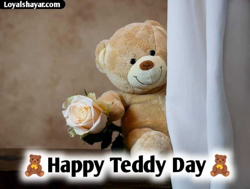 Happy teddy day shayari in Punjabi