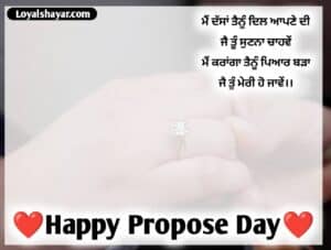 propose day Wishes In Punjabi photo