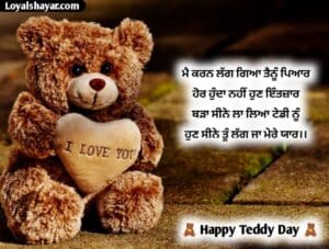 teddy day wishes In Punjabi