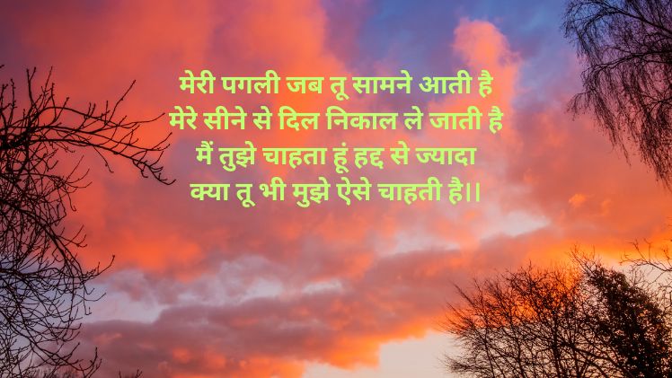 pagal status shayari