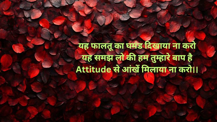 desi shayari in hindi for attitude boys