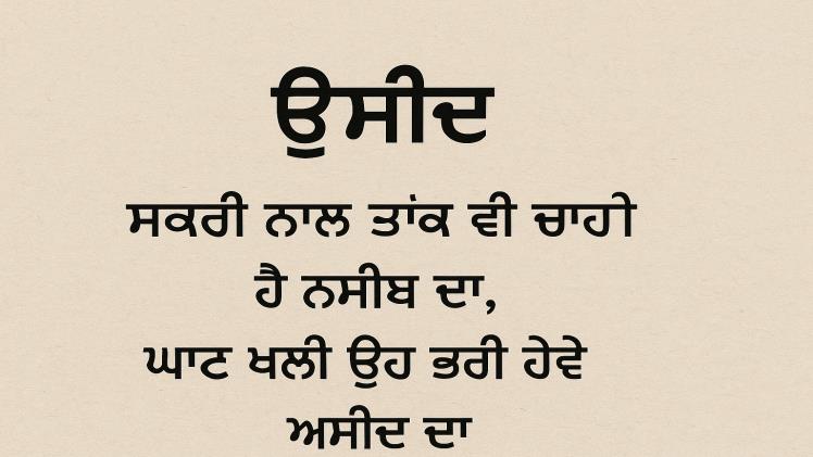 ਉਮੀਦ shayari in Punjabi