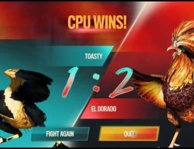 How to Play and Win on Thomo Cockfight Casino Platforms