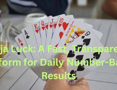 Raja Luck A Fast, Transparent Platform for Daily Number-Based Results