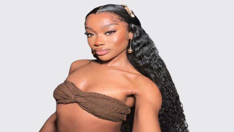 Isee Hair Burmese Curly Wig and Half Wigs: The Best of Both Worlds in Hair Wigs