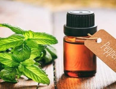 Natural Repellents for Mice: Do They Really Work?