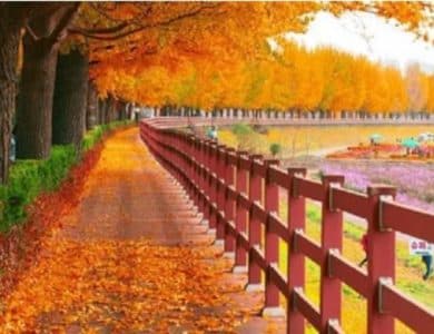 Landscape Photography – Portraying Beauty in Modern Life