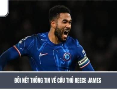 Biography of Reece James - Versatile defender of English football