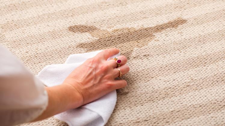 How To Remove Stains From Carpet: Easy & Effective Cleaning Hacks
