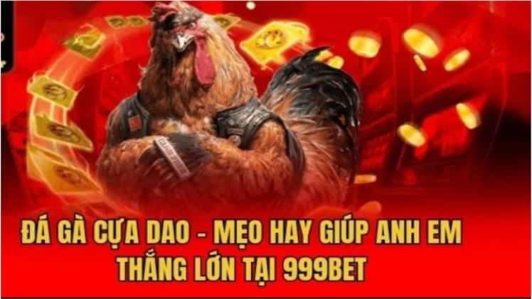 Cockfighting 999bet: Dramatic playground with every drum beat