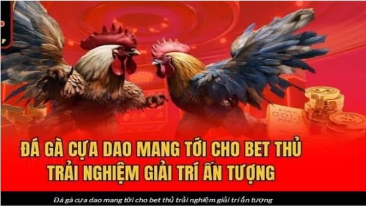 Cockfighting 999bet: Dramatic playground with every drum beat